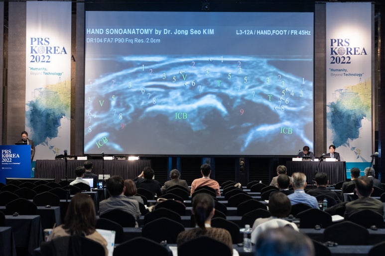 Professor’s Lecture at the Korean Society of Plastic and Reconstructive Surgeons PRS KOREA 2022 image 5