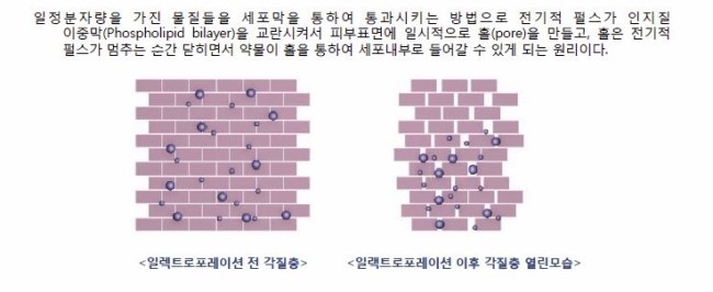 Dr.Skin 닥터스킨 (1) 관련 이미지 5