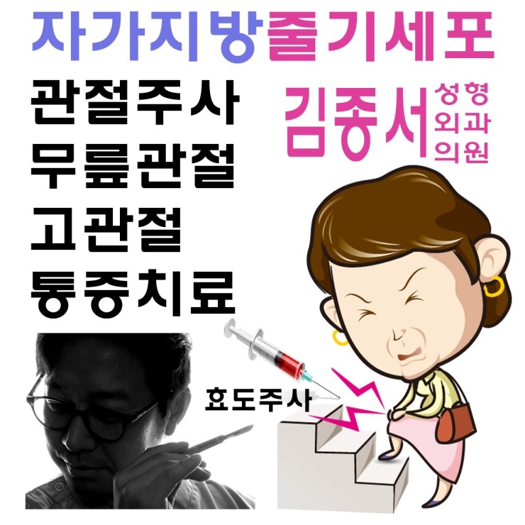 명절 효도선물 !! 무릎이나 고관절의 퇴행성변화를 완화해주는~ 자가지방유래줄기세포 관절주사요법 관련 이미지 2