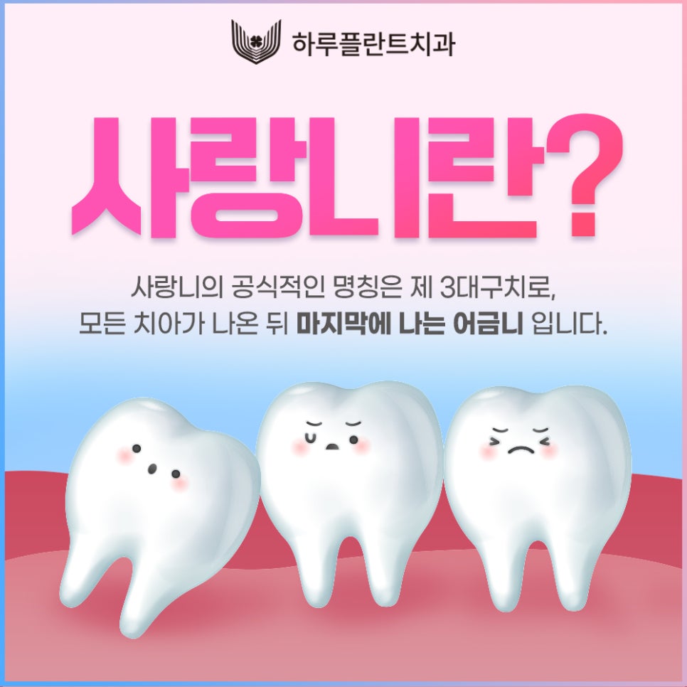 강남 하루플란트치과 사랑니발치, 사랑니 꼭 뽑아야할까요? 관련 이미지 3