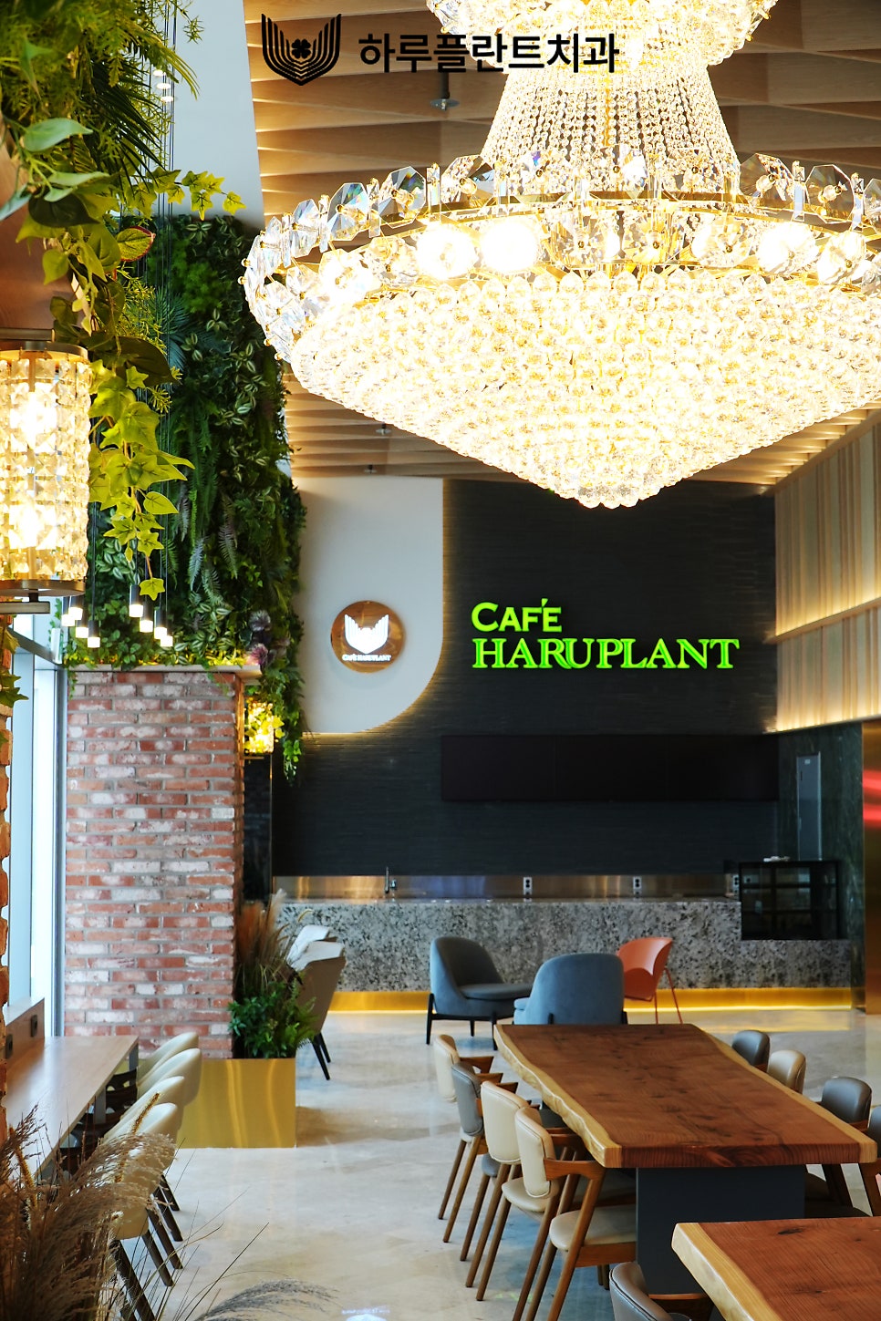 [HARU소식] 하루플란트치과 고객전용카페 GRAND OPEN 관련 이미지 5