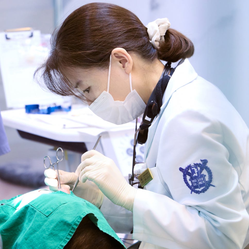 치아 사이 틈, 하루네이트로 해결할 수 있습니다 관련 이미지 4