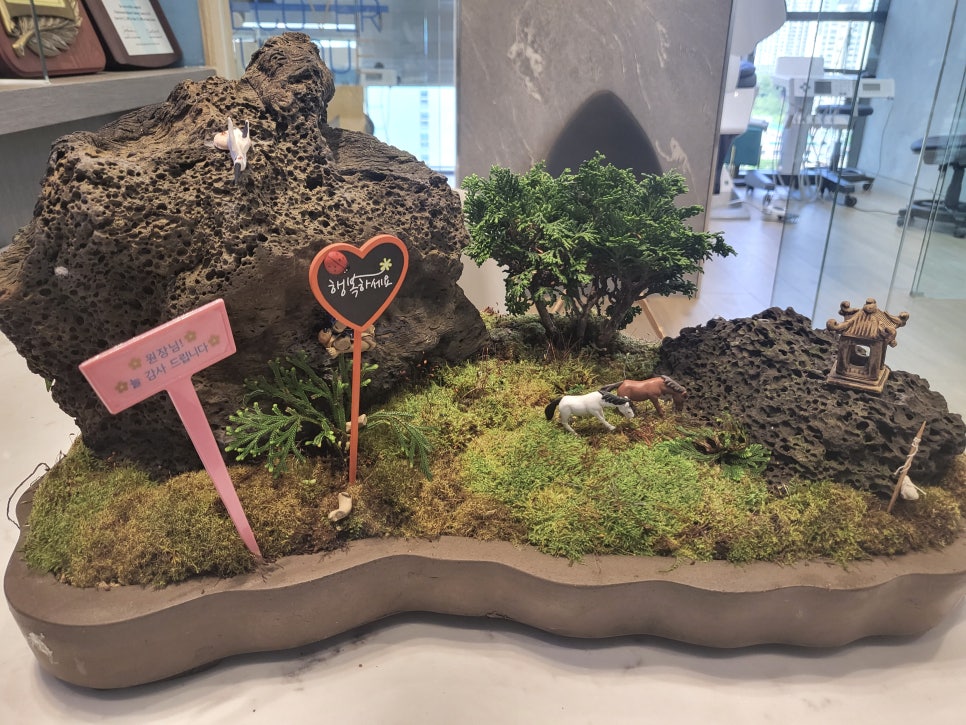 [하루플란트치과일상] 환자분이 보내주신 선물 💝 관련 이미지 2