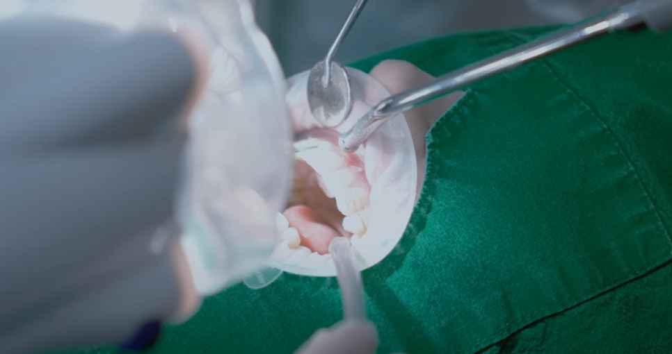 강남역하루플란트치과 하루네이트 라이브, 세계가 주목한 임상 현장의 기록 관련 이미지 5