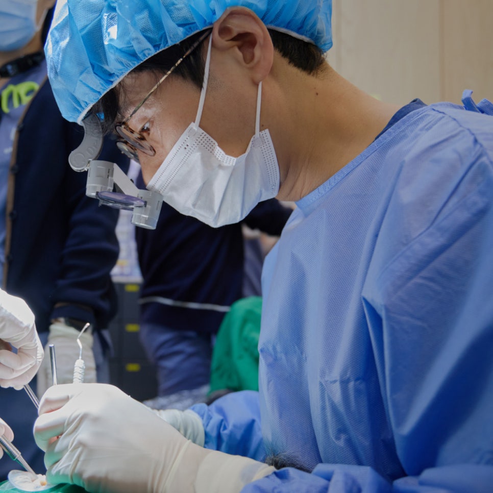 치과 가기 무섭다면? 성인의 80%가 겪는 치과 공포증, 해결 방법은? 관련 이미지 6