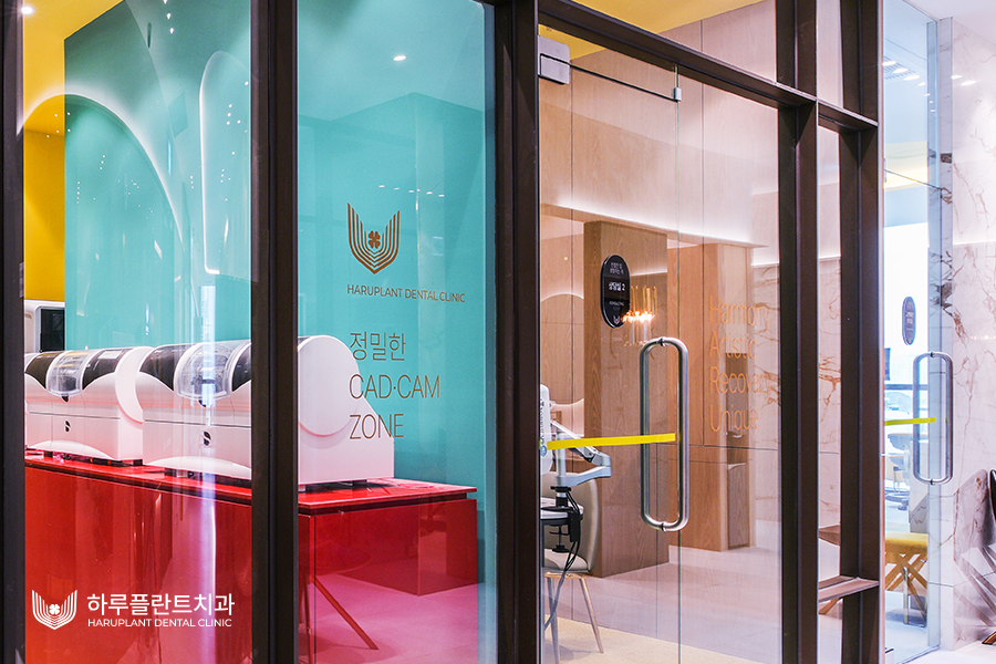 완전틀니가격? 임플란트보다 틀니가 비싼 이유 관련 이미지 7