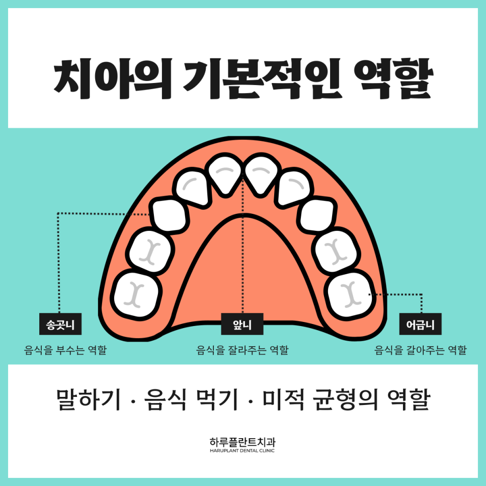 [HARU치과상식] 치아관리로 건강하게 치아지키기 관련 이미지 2