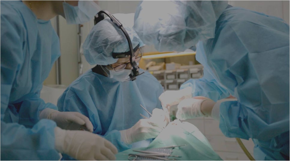 임플란트 입냄새 난다면 관련 이미지 4