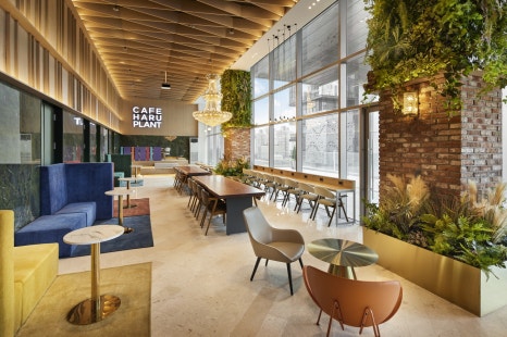 [하루플란트치과] 대기도 편안하게, 바디프랜드 안마의자가 있는 강남역 치과 관련 이미지 1