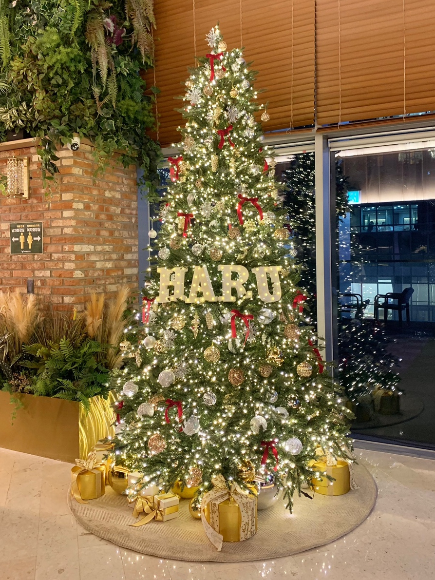 [강남역야간진료치과] 하루플란트치과 12월 진료일정 안내 (feat.크리스마스 이벤트🎄) 관련 이미지 3