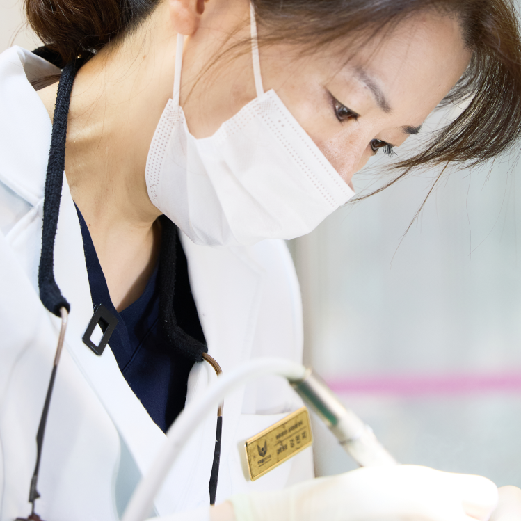 시니어 라미네이트의 새로운 기준, 하루네이트 관련 이미지 3