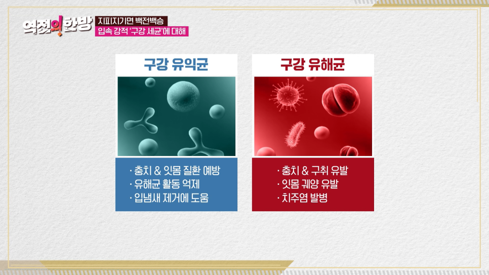 하루플란트치과 김형규 원장 TV조선 역전의한방 구강 관리법 출연 관련 이미지 2