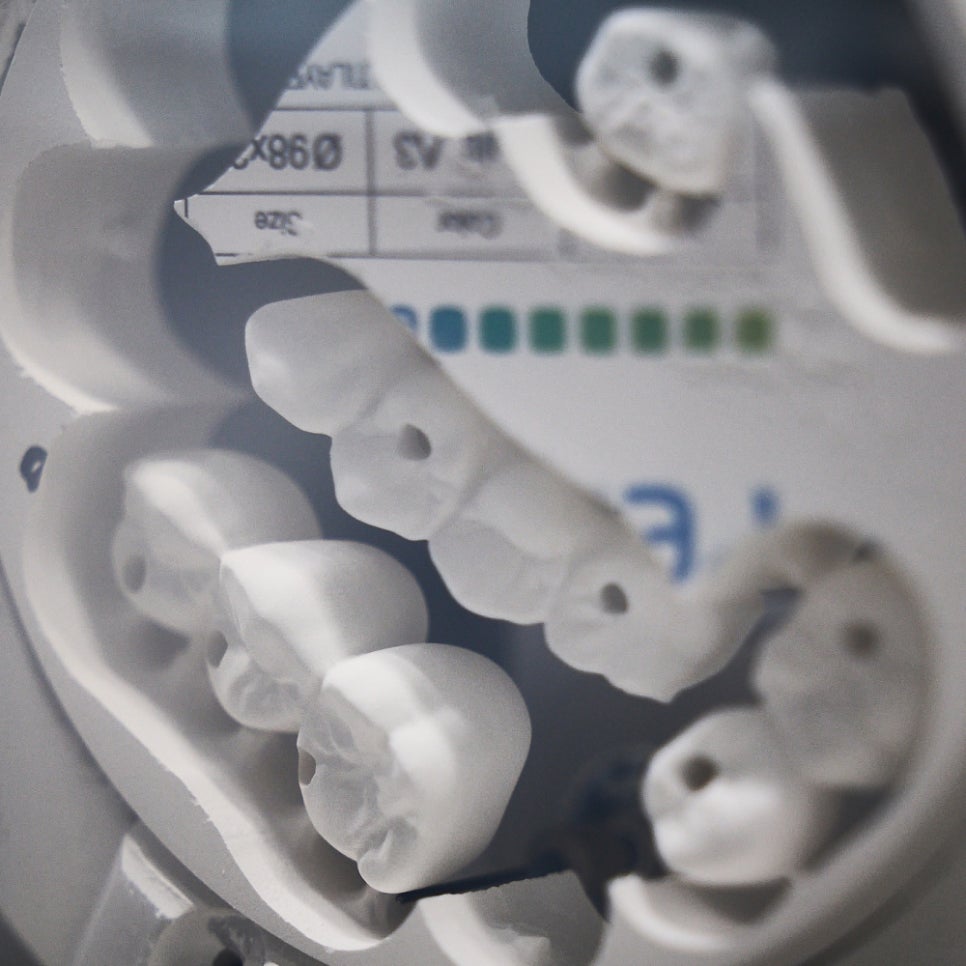 Zirconia Covered Too Now? Dental Insurance Benefits You Can Enjoy Starting in February! image 5