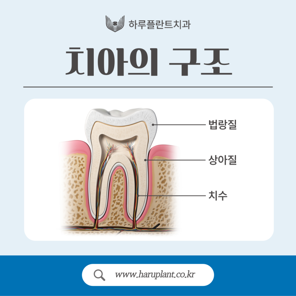 강남충치치료 레진 인레이 차이는? 관련 이미지 2