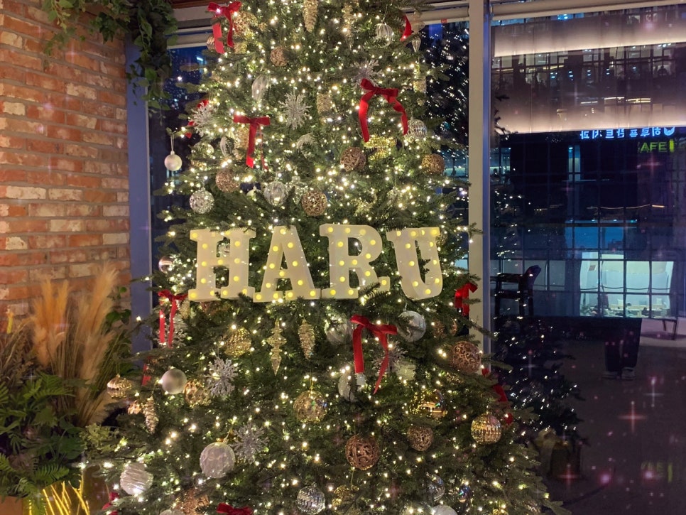 [강남역야간진료치과] 하루플란트치과 12월 진료일정 안내 (feat.크리스마스 이벤트🎄) 관련 이미지 4