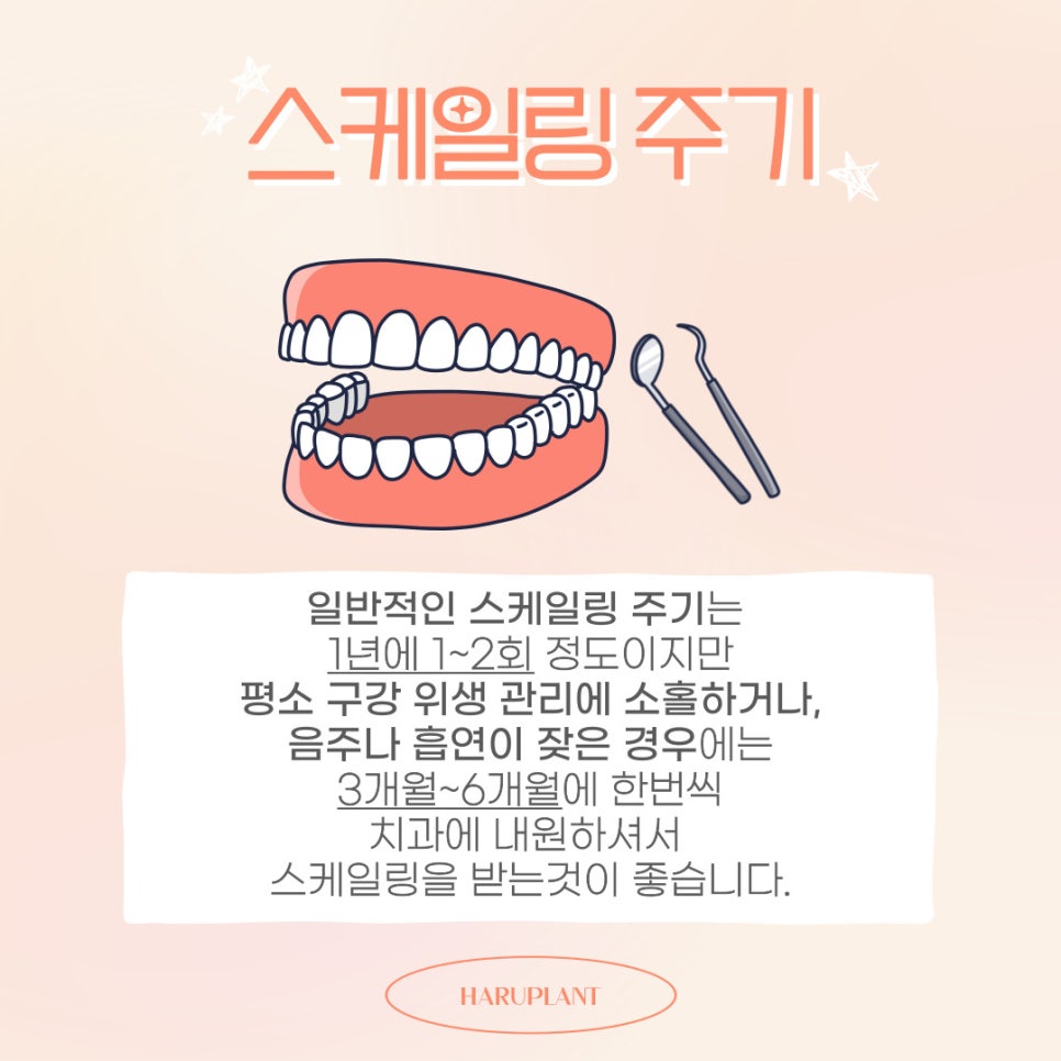 강남역치과 하루플란트치과 스케일링 건강보험 적용 비용,주기 관련 이미지 4