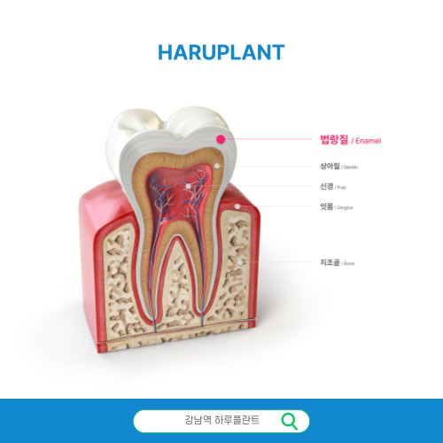 하루완성 하루네이트, 네 가지 핵심 가치 관련 이미지 1