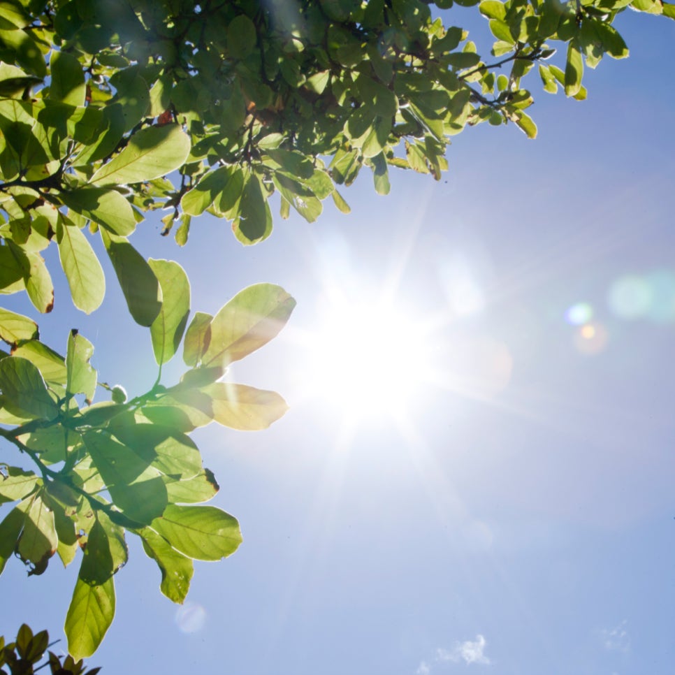 자외선보다 강력한 하루플란트 플라즈마 임플란트! UV vs 플라즈마, 임플란트 표면처리 차이는? 관련 이미지 3