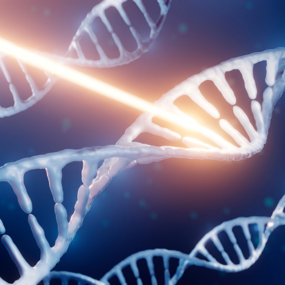 자외선보다 강력한 하루플란트 플라즈마 임플란트! UV vs 플라즈마, 임플란트 표면처리 차이는? 관련 이미지 4