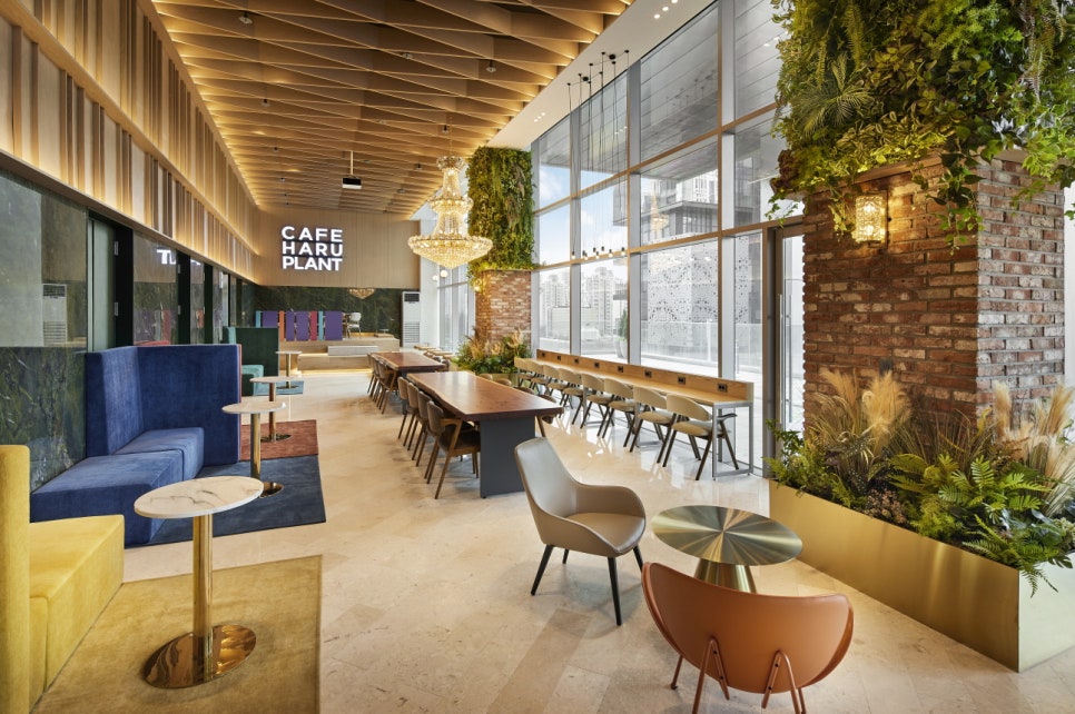 김형규 원장님 유튜브 관련 이미지 6