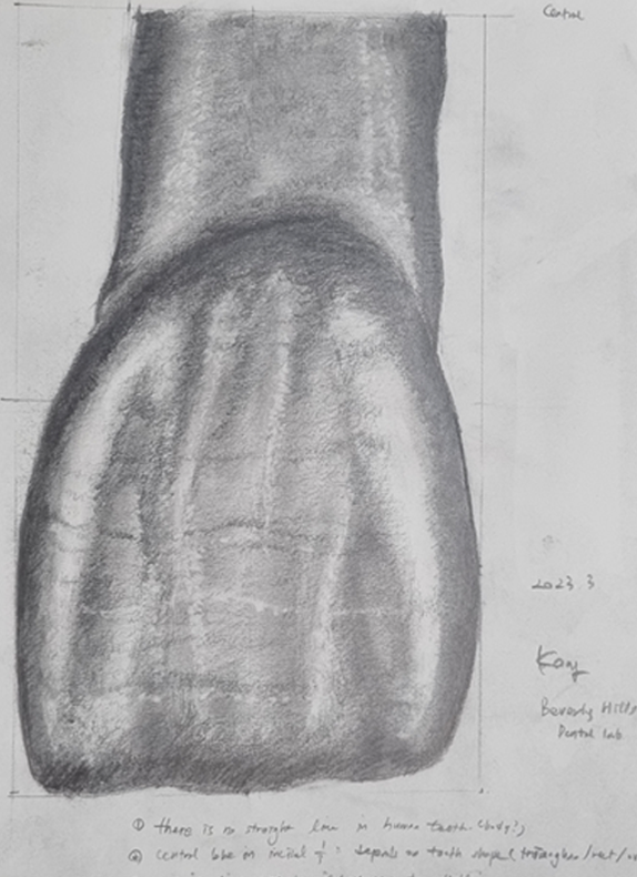 하루플란트치과 강민지 대표원장님 우먼센스 인터뷰 관련 이미지 3