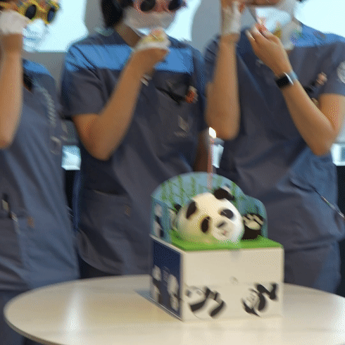 강남역치과 하루플란트치과 일상 4월 직원 생일파티 현장! 관련 이미지 3