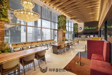 하루플란트치과 9월 진료일정 및 카페 테라스 오픈 소식 관련 이미지 3