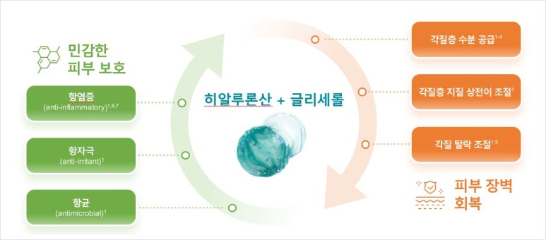 벨로테로 리바이브 스킨부스터를 소개합니다 관련 이미지 4