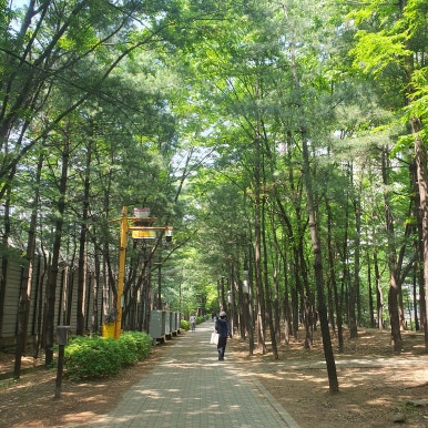 벨뷰 의원 근처 가볼 만한 곳, 명달 근린공원 관련 이미지 13