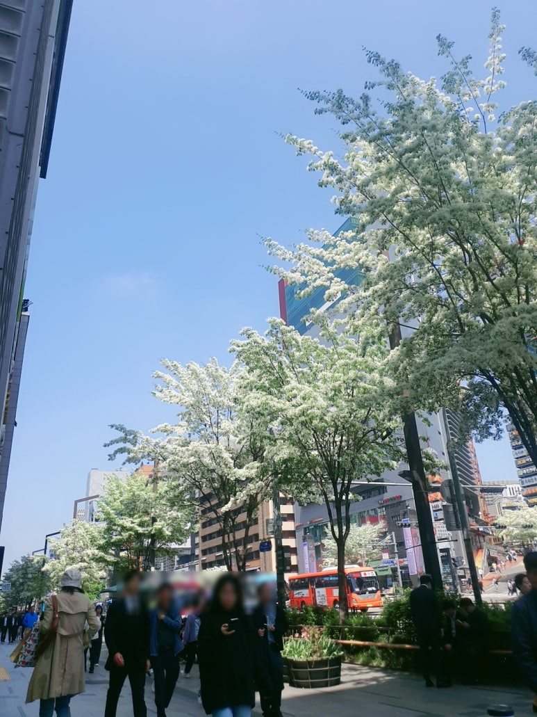 레이저 시술 후 피부관리 어떻게 해야 좋을까? 레이저 종류별로 알려드립니다 관련 이미지 2