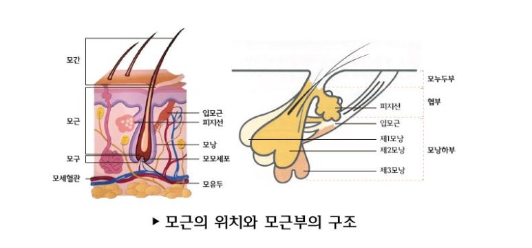 [Dr. Bellevue Column 99.] How to Break Free from Razor Burn and Folliculitis image 5
