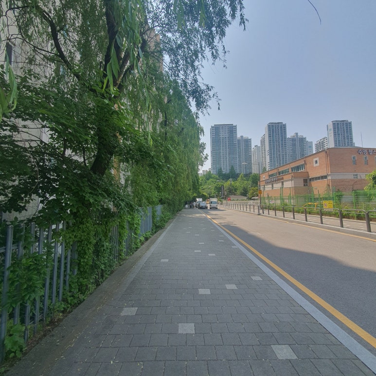 벨뷰 의원 근처 가볼 만한 곳, 명달 근린공원 관련 이미지 4