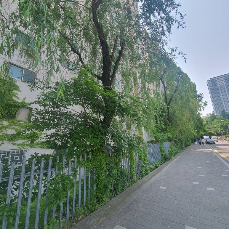 벨뷰 의원 근처 가볼 만한 곳, 명달 근린공원 관련 이미지 5