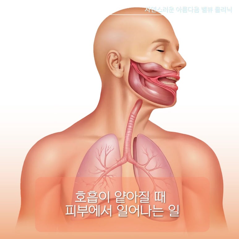 리프팅 효과 2배로 올리는 피부재생 비밀, 관련 이미지 2