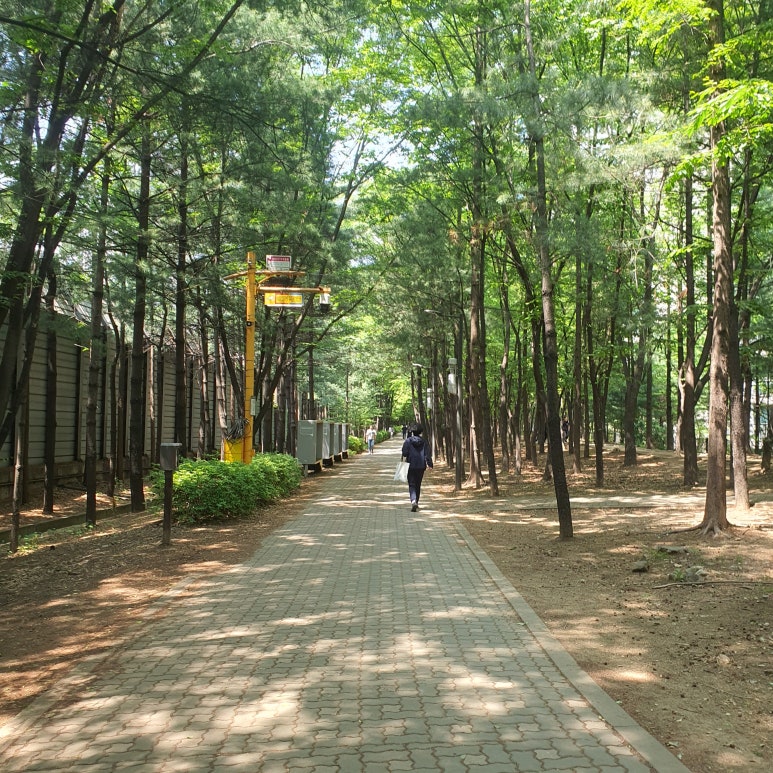 벨뷰 의원 근처 가볼 만한 곳, 명달 근린공원 관련 이미지 15