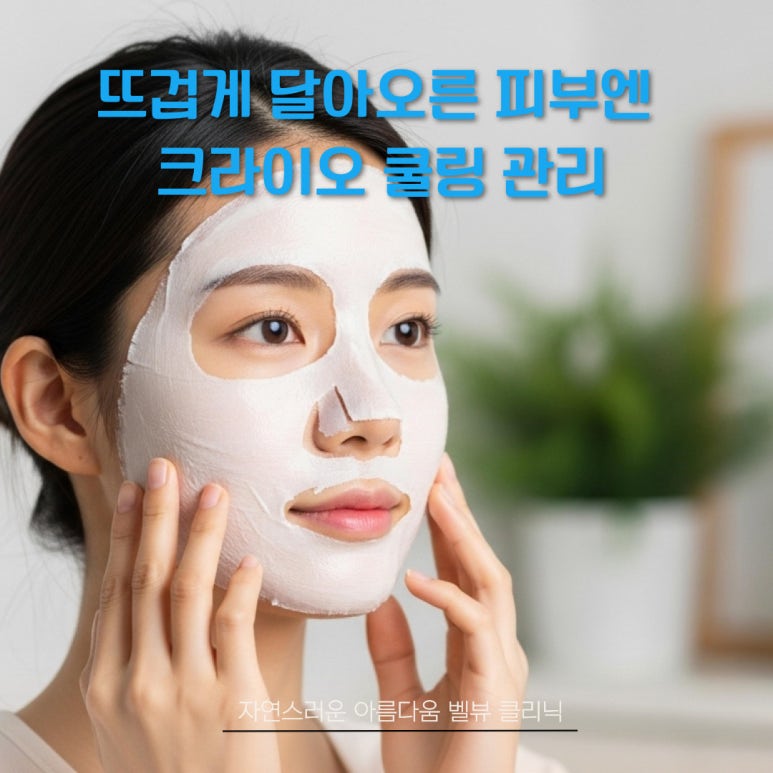 여름철 피부 자생력 떨어지는 세 가지 원인, 크라이오 진정 관리가 중요한 이유 관련 이미지 7