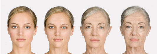 [Dr. Bellvue Column 59.] The Solution to Winter Pores, Pigmentation, and Elasticity Concerns: ‘Genesis Toning’ image 4