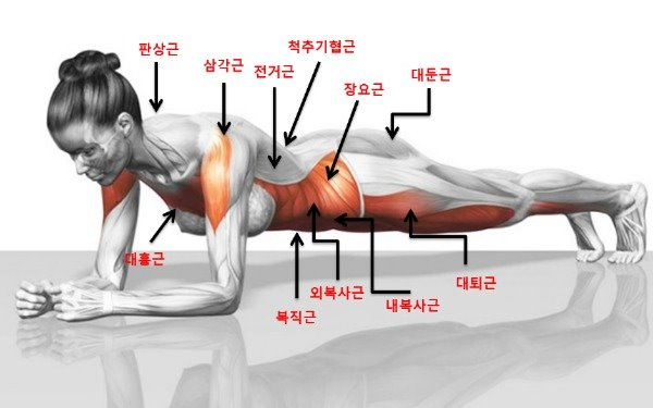 피부 노화 개선에 가장 효과적인 운동이 따로 있어요 관련 이미지 9