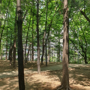 벨뷰 의원 근처 가볼 만한 곳, 명달 근린공원 관련 이미지 14