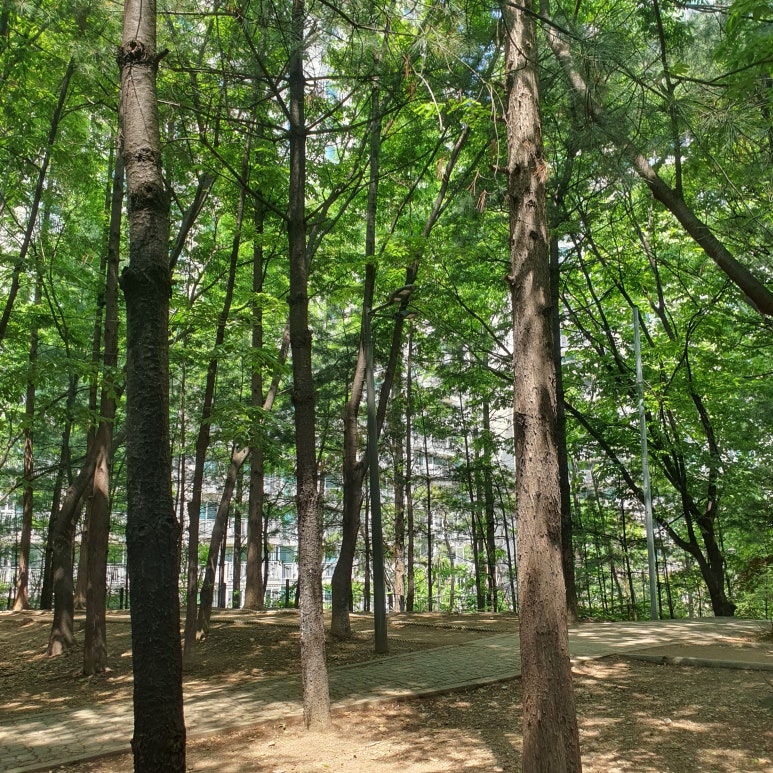 벨뷰 의원 근처 가볼 만한 곳, 명달 근린공원 관련 이미지 16