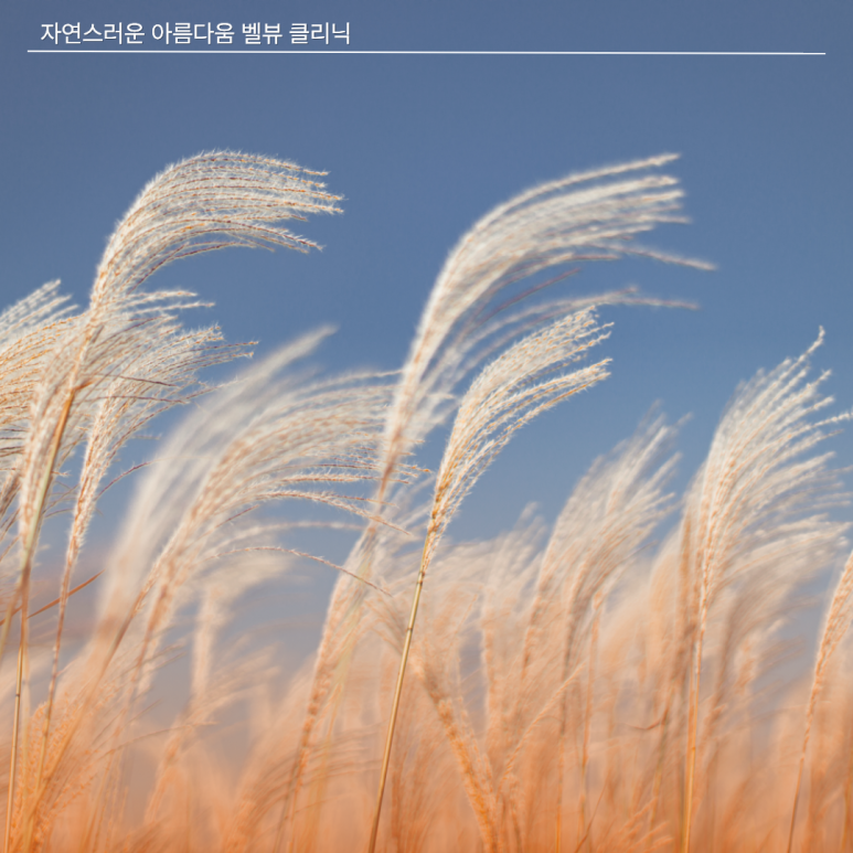 [강남역 피부과] 10월 피부 리셋 플랜, 벨뷰의원 AUTUMN RESET 관련 이미지 3