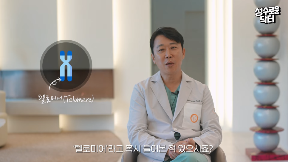 역노화를 위한 텔로미어 길이 증가? 고압산소치료병원 #봉봉웰니스클리닉 관련 이미지 8