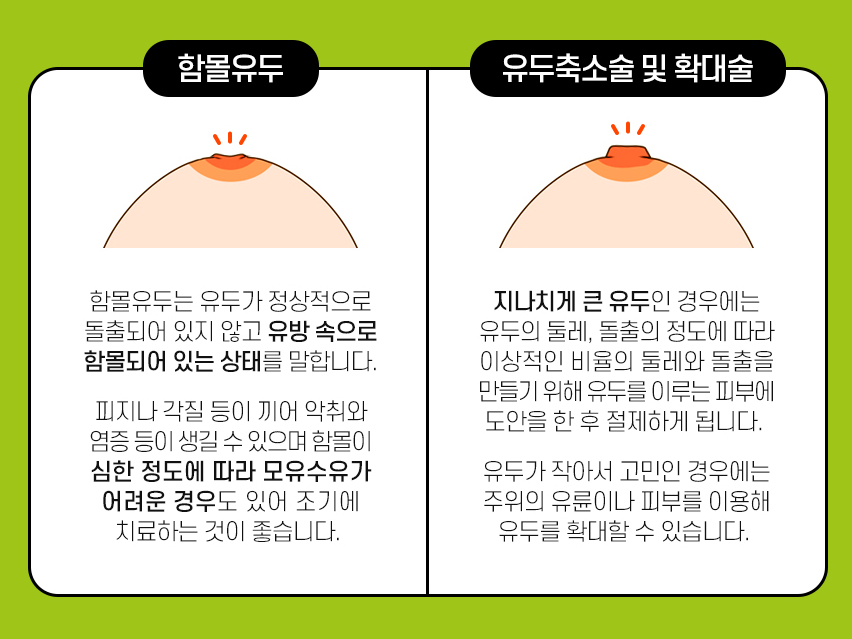 이상적 가슴을 완성하는 관련 이미지 6