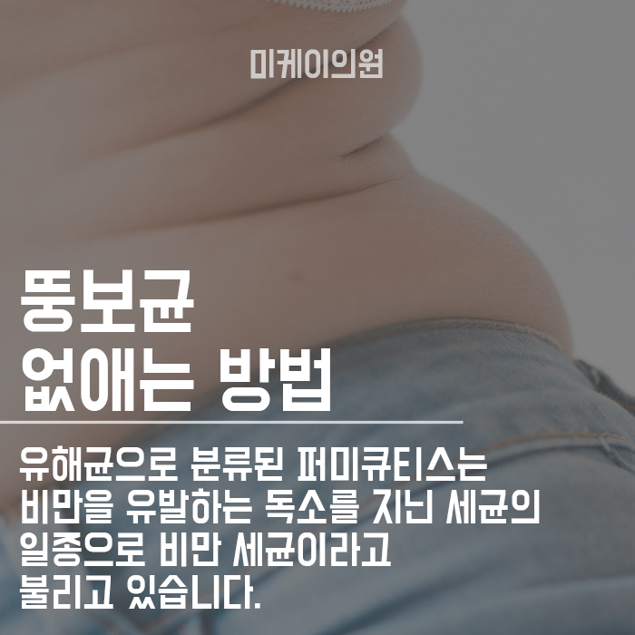 뚱보균 없애는 방법 마사지와 식이습관 들이기 관련 이미지 2