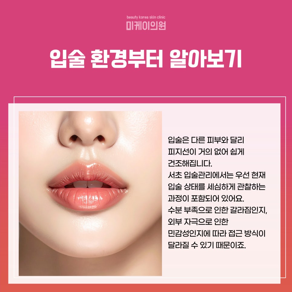 서초 입술관리 부드러운 변화를 위한 시작 관련 이미지 2