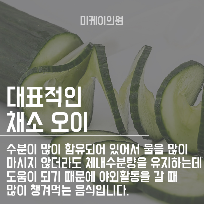 여름철 먹기 좋은 과일 건강한 피부미인 되기 관련 이미지 3