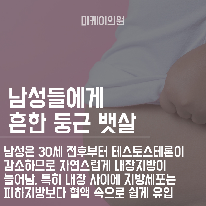 서초다이어트 효과적으로 복부지방분해 하기 관련 이미지 4