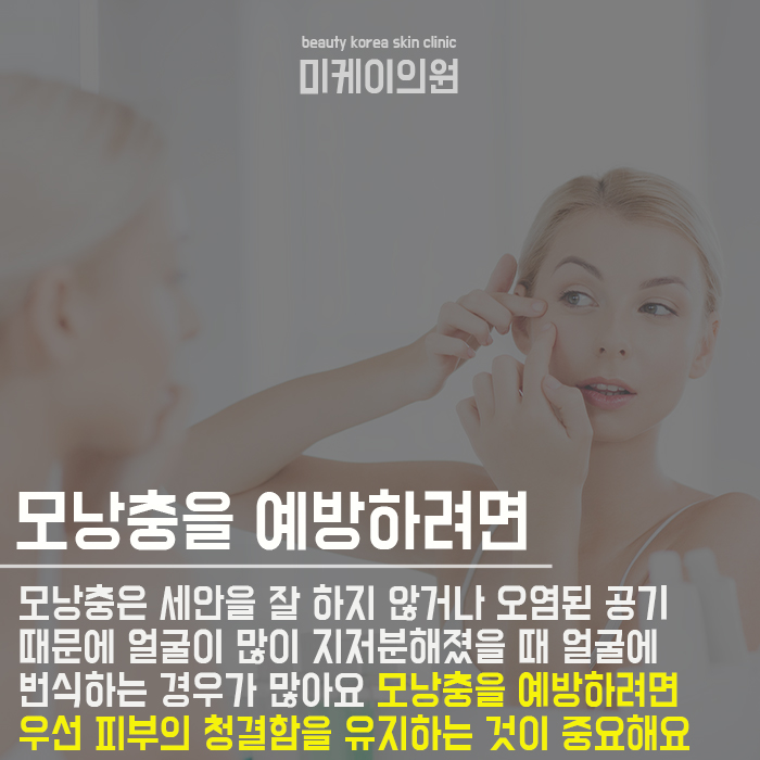 서초역아쿠아필로모낭충과이별하기 관련 이미지 4