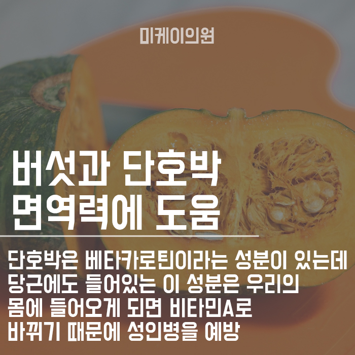 면역력 높이는 음식 챙겨먹고 건강하게 생활하자 관련 이미지 4