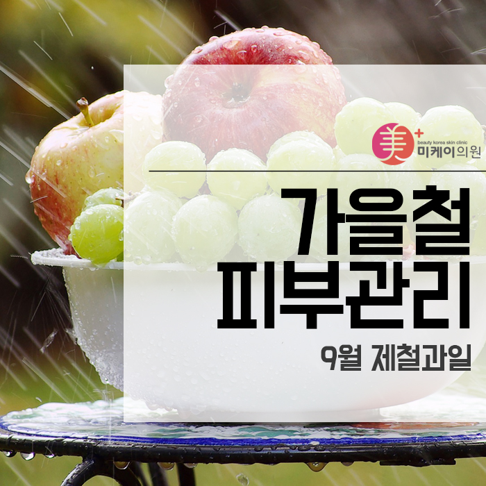 가을철 피부관리, 9월 제철과일 적절합니다! 관련 이미지 1